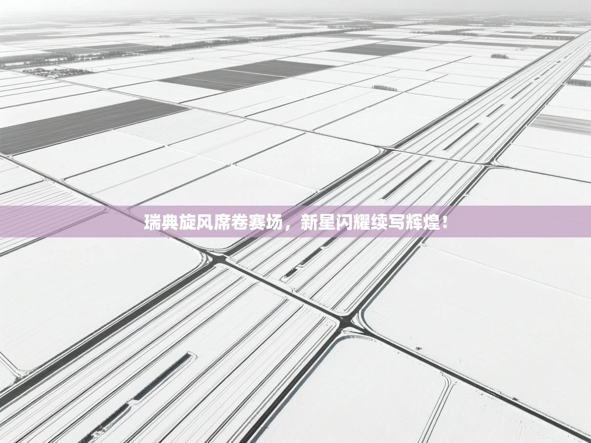 瑞典旋风席卷赛场，新星闪耀续写辉煌！  第1张