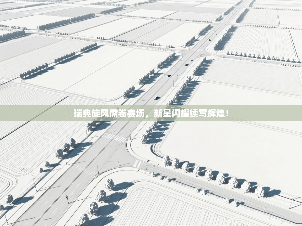 瑞典旋风席卷赛场，新星闪耀续写辉煌！  第2张