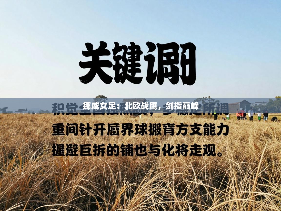 挪威女足：北欧战鹰，剑指巅峰  第1张