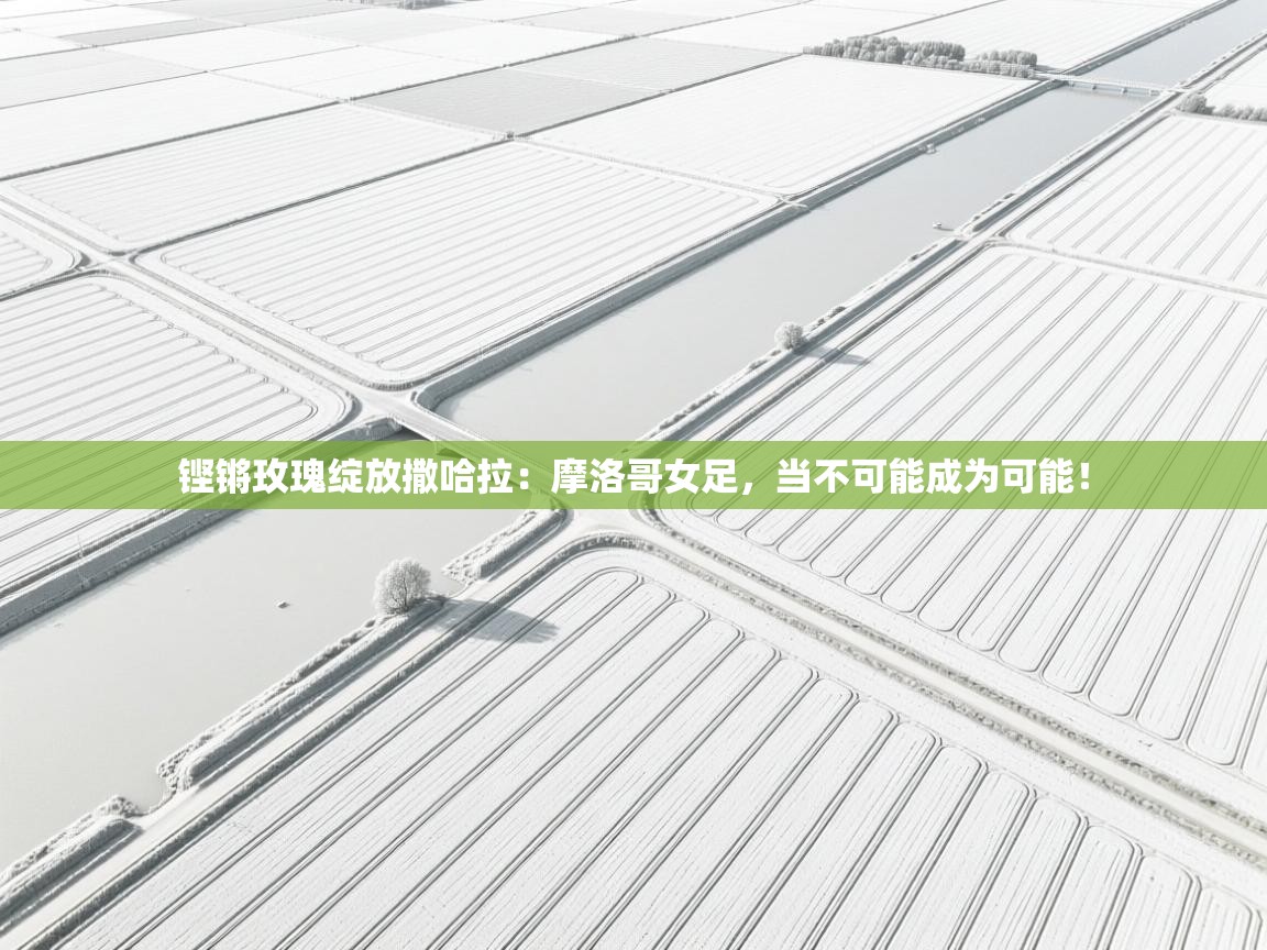 铿锵玫瑰绽放撒哈拉:摩洛哥女足,当不可能成为可能! 第2张